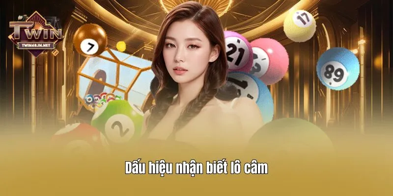 Dấu hiệu nhận biết lô câm