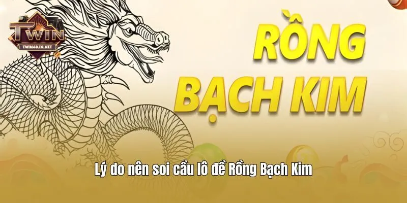 Lý do nên soi cầu lô đề Rồng Bạch Kim
