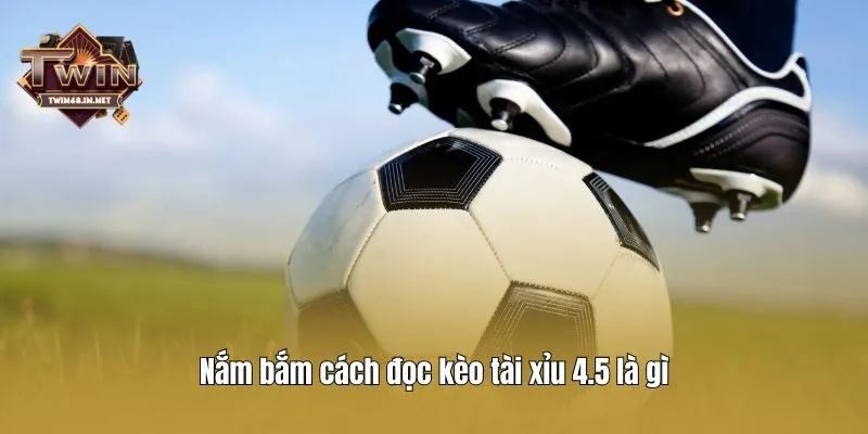 Nắm bắm cách đọc kèo tài xỉu 4.5 là gì